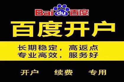 百度竞价SEM的秘密武器：案例背后的策略分析